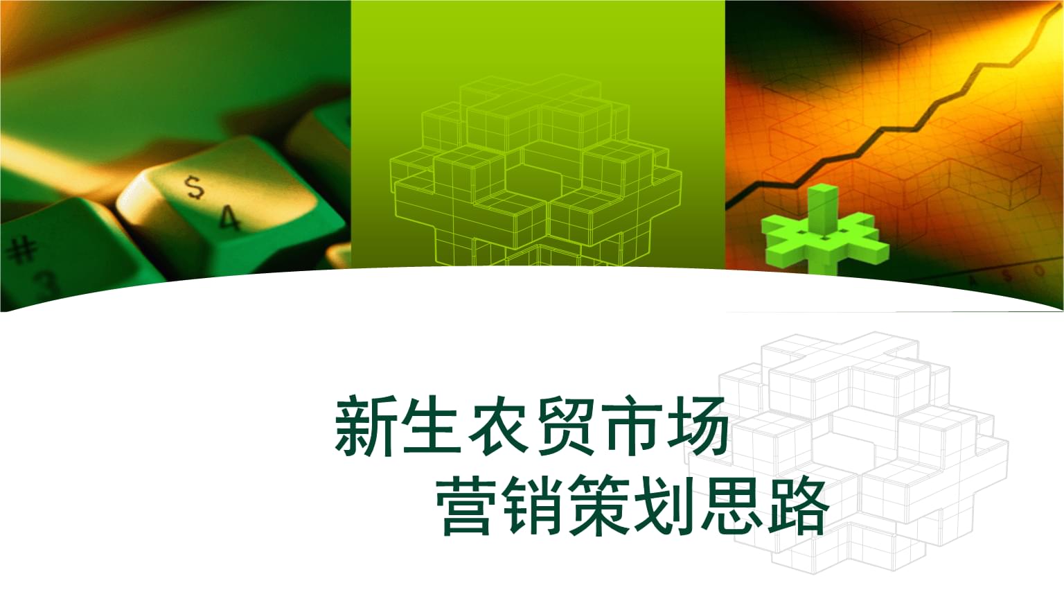 新生農(nóng)貿(mào)市場(chǎng) 精準(zhǔn)營銷策劃方案